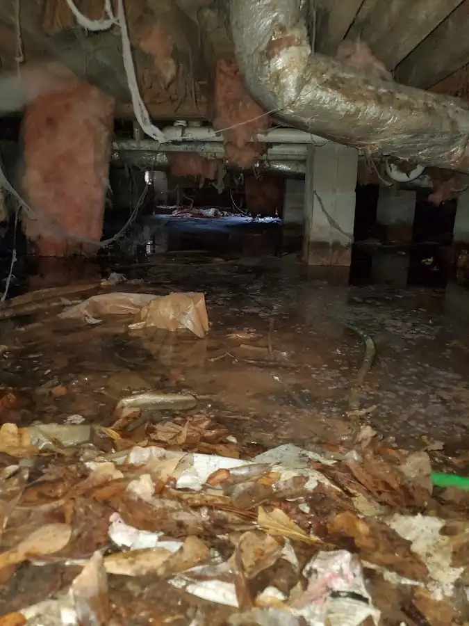 Crawl space flood assessment for Leak Detection & Repair in Raton